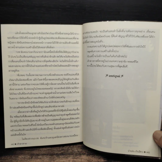 เจ้าสาวทาส - ปายฝน รูปที่ 8