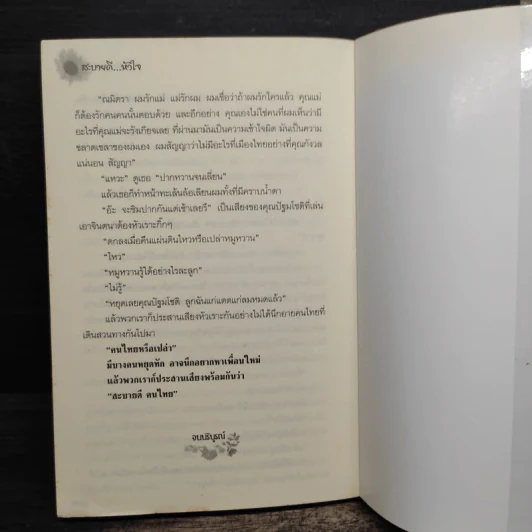 สะบายดีหัวใจ - ชอนตะวัน รูปที่ 8