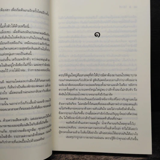 โซ่เวรี - ณารา รูปที่ 8