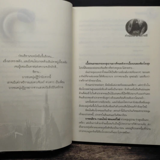 เจ้าชายราตรี - อะแมธีสต์ รูปที่ 7