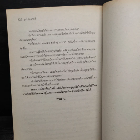 ลูกไม้หลากสี - เทพิตา รูปที่ 7