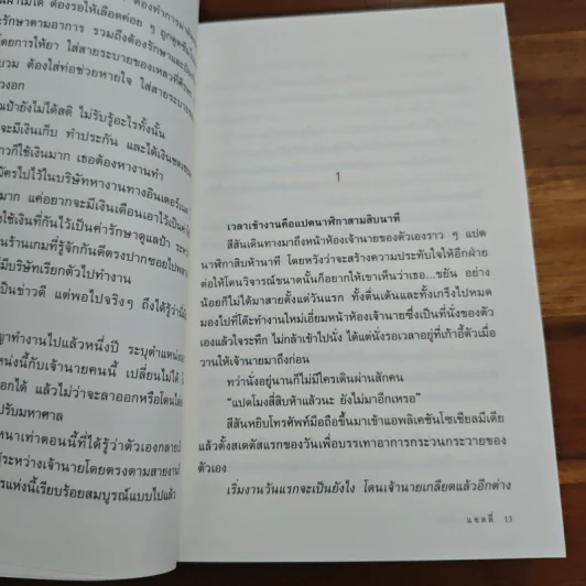 ศิถีสีสันพาฬจรัส - แอลลี่ รูปที่ 7