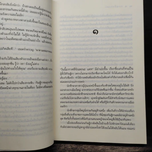 ตราบสิ้นสิเน่หา - ณารา รูปที่ 8
