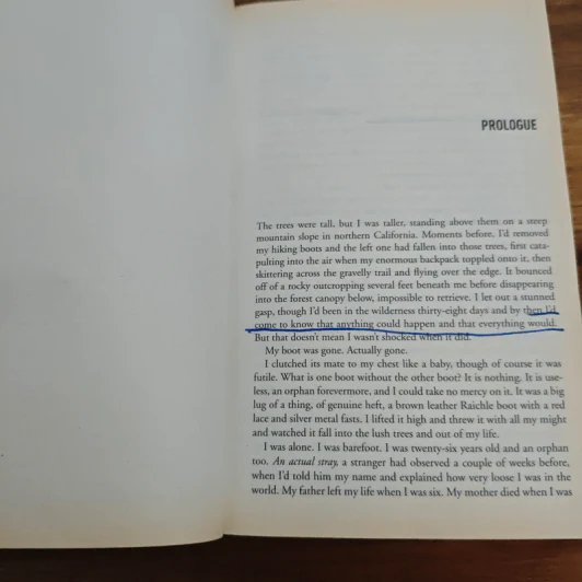 Wild: A Journey from Lost to Found - Cheryl Strayed รูปที่ 9