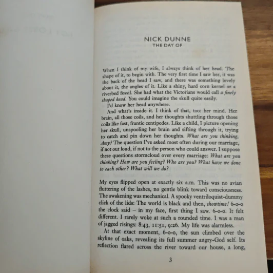GONE GIRL - Gillian Flynn รูปที่ 9