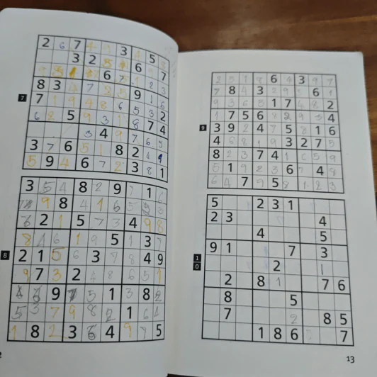 Ninja Assassin Sudoku Black Belt - Frank Longo รูปที่ 7