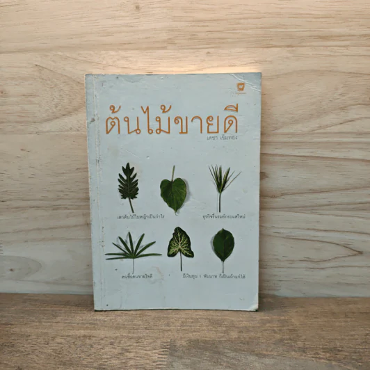 ต้นไม้ขายดี - เดชา เข็มทอง รูปที่ 1