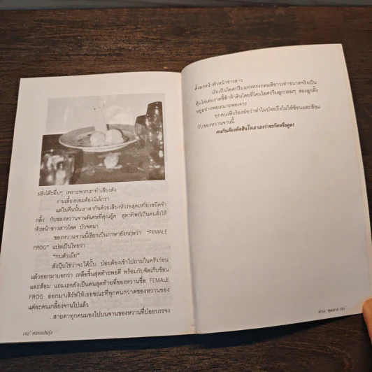 หลากเส้นรุ้ง กับ ดำรง พุฒตาล รูปที่ 10