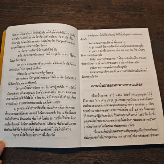 พระอวโลกิเตศวรโพธิสัตว์กวนอิม รูปที่ 7
