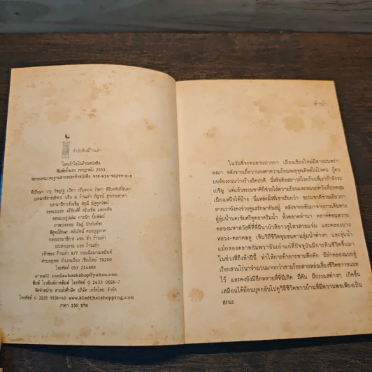 โลกเก้าใบในร้านหนังสือ รูปที่ 6