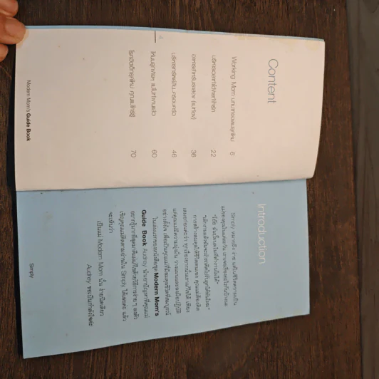 Simply Modern Mom's Guide Book - ModernMom รูปที่ 6