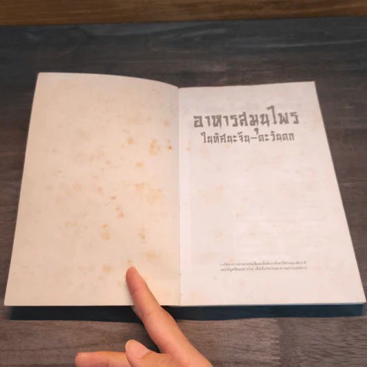 อาหารสมุนไพรในทัศนะจีน-ตะวันตก - วิทิต วัณนาวิบูล รูปที่ 6