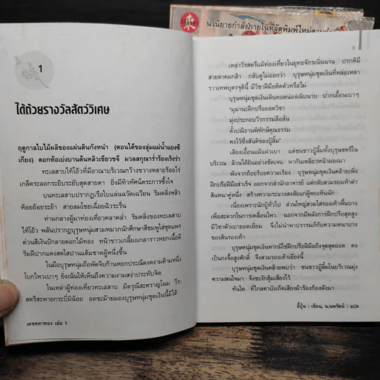 เดชคฑาทอง 3 เล่มจบ - อี้บุ้น รูปที่ 6