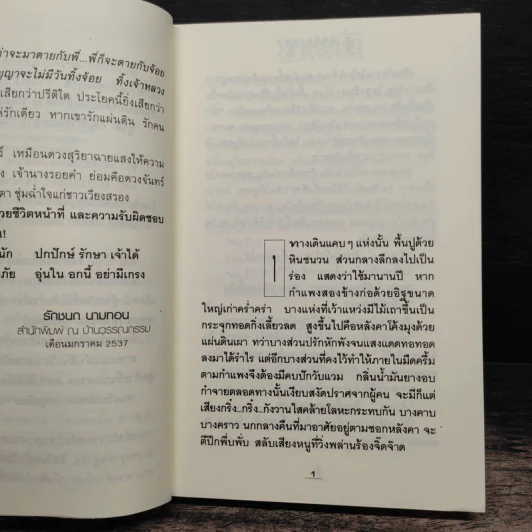 โสมส่องแสง 2 เล่มจบ - โรสลาเรน รูปที่ 8