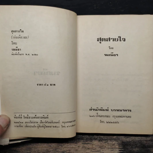 สุดสายใจ - รมณียา รูปที่ 6