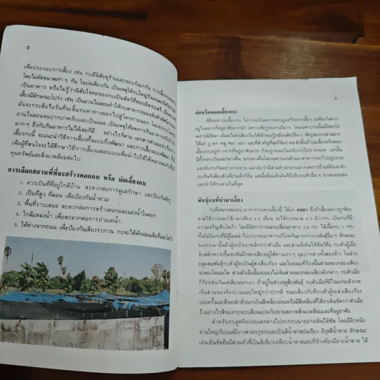 การเลี้ยงกบ - กรมประมง รูปที่ 7
