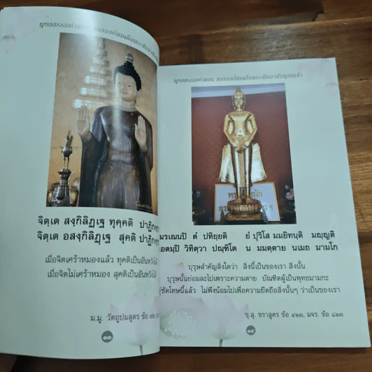 ธรรมวิสุทธิ์ พุทธธรรมคำสอน ขององค์สมเด็จพระสัมมาสัมพุทธเจ้า รูปที่ 7