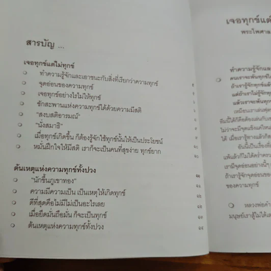 เจอทุกข์ แต่ไม่ทุกข์ - พระไพศาล วิสาโล รูปที่ 6