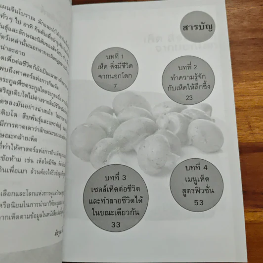 สิ่งมีชีวิตที่เรียกว่าเห็ด - มัชรูม บ็อบ รูปที่ 7
