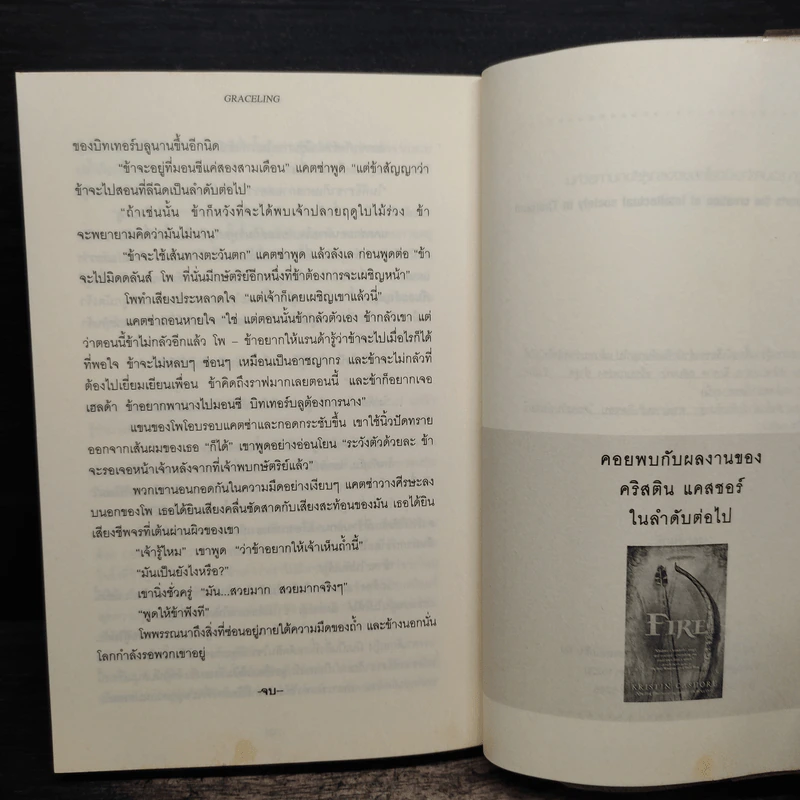 ท่านหญิงมือสังหาร - คริสติน แคสชอร์ รูปที่ 9