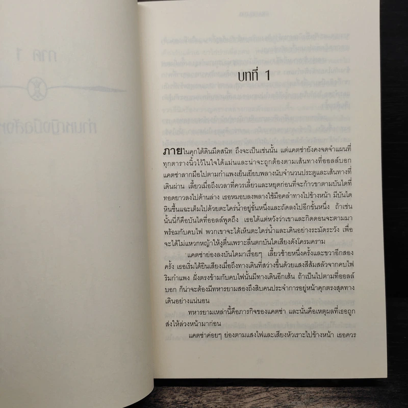 ท่านหญิงมือสังหาร - คริสติน แคสชอร์ รูปที่ 8