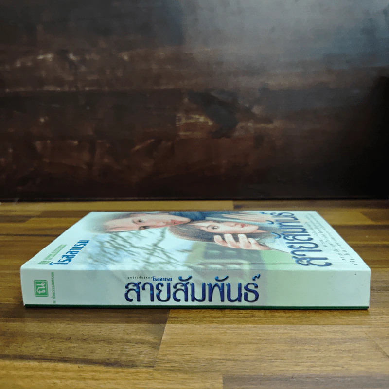 สายสัมพันธ์ - โรสลาเรน รูปที่ 3