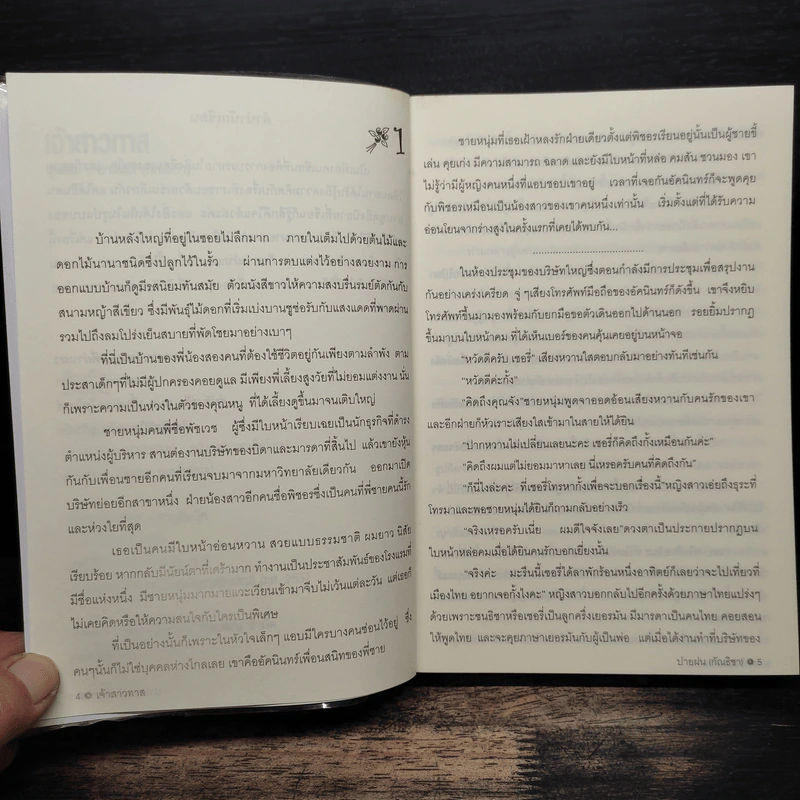 เจ้าสาวทาส - ปายฝน รูปที่ 7