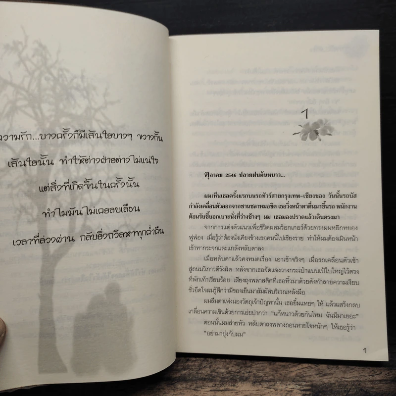 สะบายดีหัวใจ - ชอนตะวัน รูปที่ 7