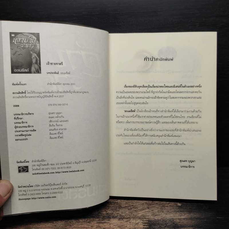 เจ้าชายราตรี - อะแมธีสต์ รูปที่ 6