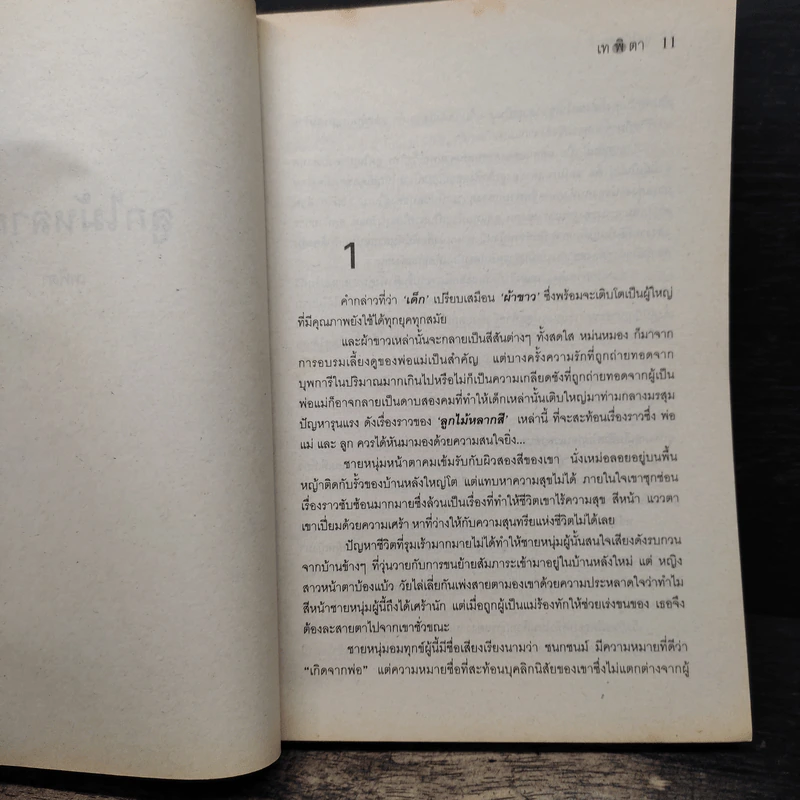 ลูกไม้หลากสี - เทพิตา รูปที่ 6