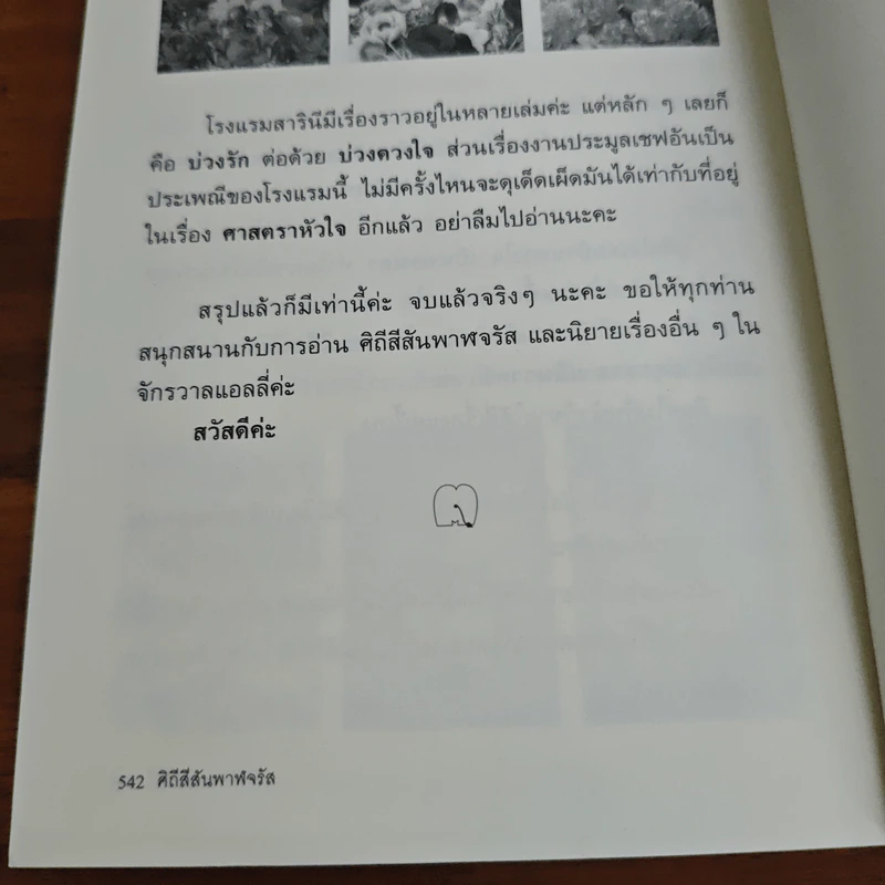 ศิถีสีสันพาฬจรัส - แอลลี่ รูปที่ 9
