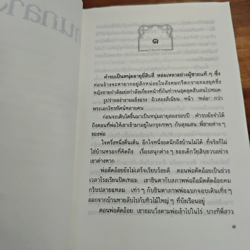 คนกลางเมือง - ศรีฟ้า ลดาวัลย์ รูปที่ 7