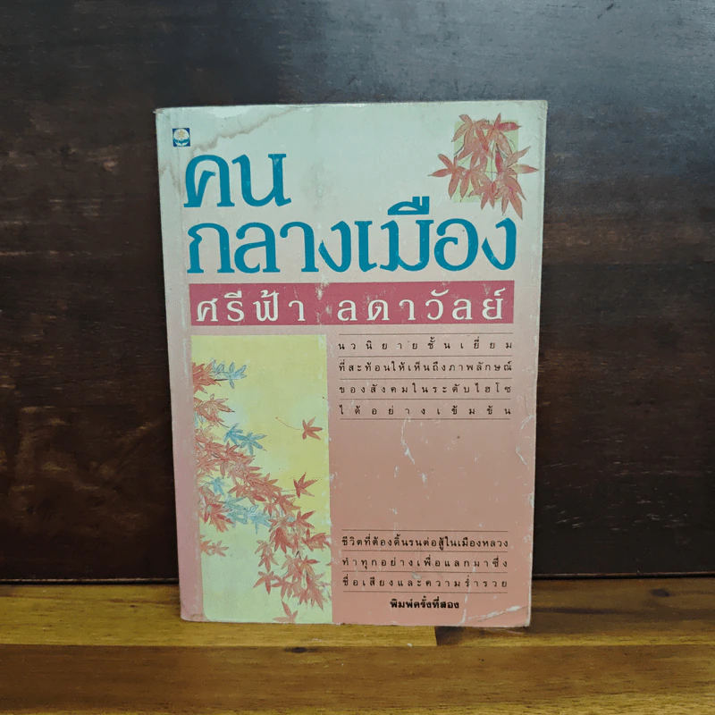คนกลางเมือง - ศรีฟ้า ลดาวัลย์ รูปที่ 1