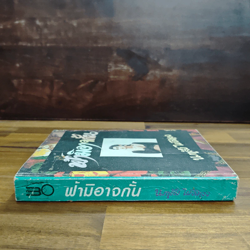 ฟ้ามิอาจกั้น - นภาลัย ไผ่สีทอง รูปที่ 3