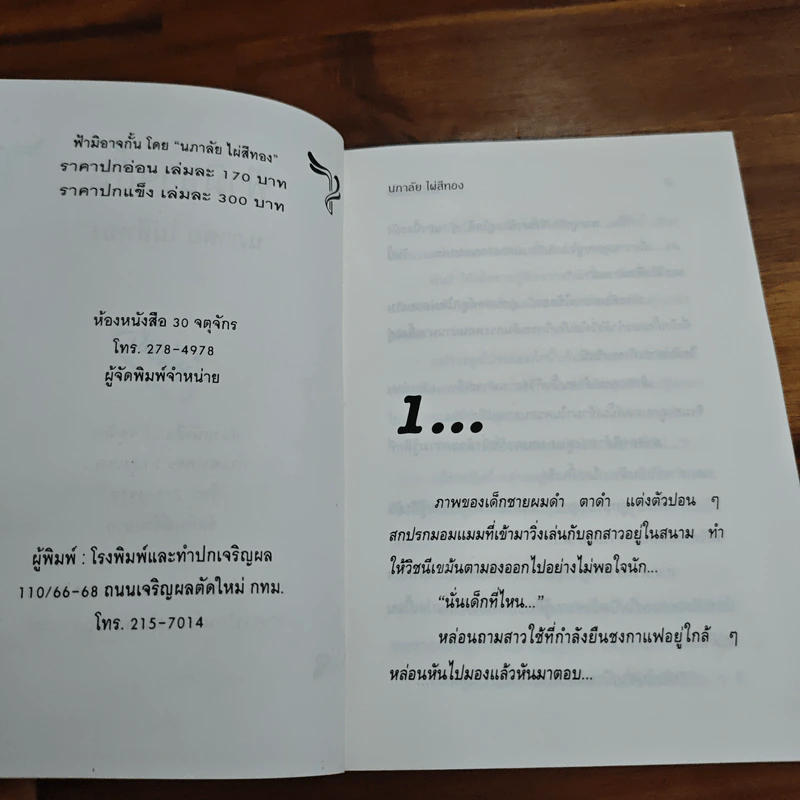 ฟ้ามิอาจกั้น - นภาลัย ไผ่สีทอง รูปที่ 7