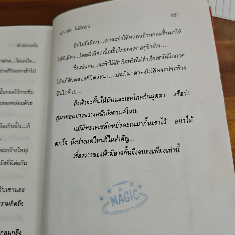 ฟ้ามิอาจกั้น - นภาลัย ไผ่สีทอง รูปที่ 9