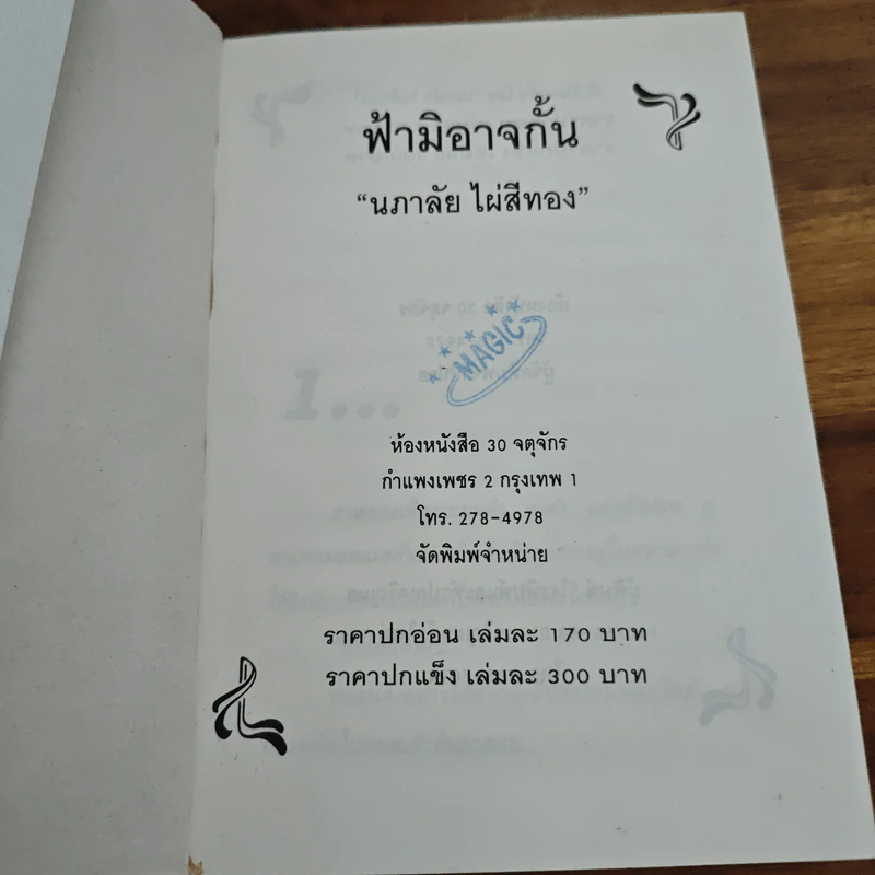 ฟ้ามิอาจกั้น - นภาลัย ไผ่สีทอง รูปที่ 6