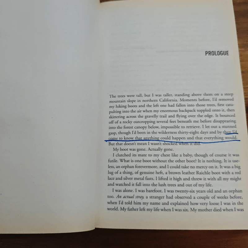 Wild: A Journey from Lost to Found - Cheryl Strayed รูปที่ 9