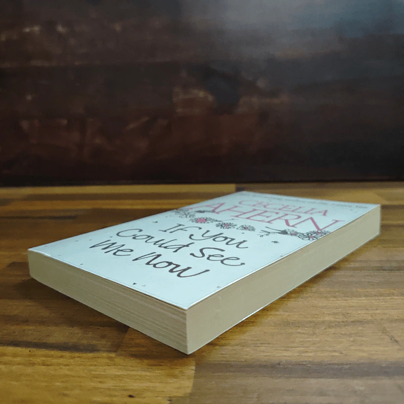 If You Could See Me Now - Cecelia Ahern รูปที่ 4