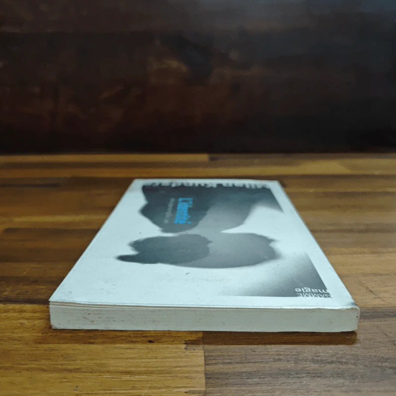 ตัวตน L'identité - Milan Kundera รูปที่ 5