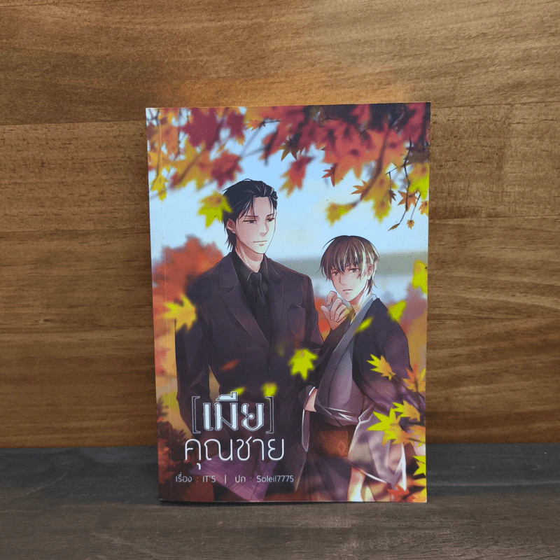เมียคุณชาย - It's รูปที่ 1