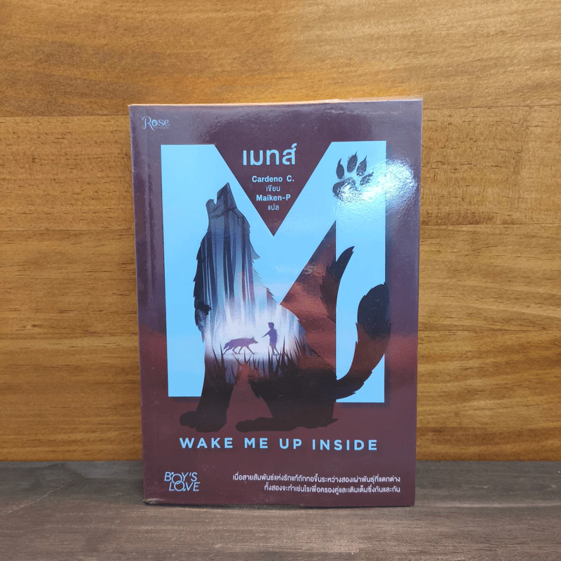 เมทส์ เล่ม 1 Wake Me Up Inside - Cardeno C. รูปที่ 1