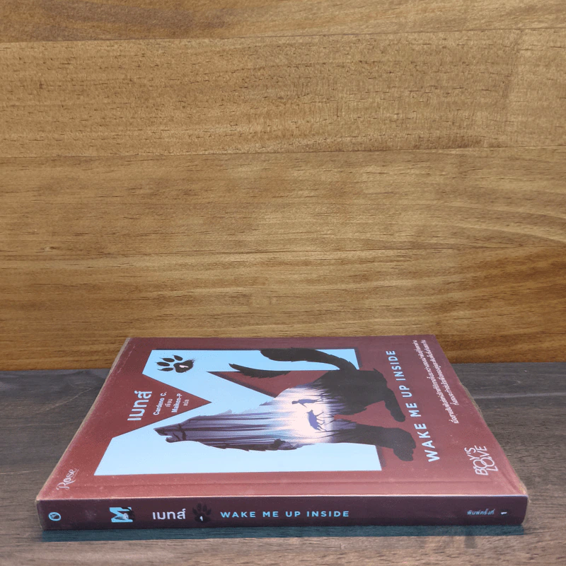 เมทส์ เล่ม 1 Wake Me Up Inside - Cardeno C. รูปที่ 2