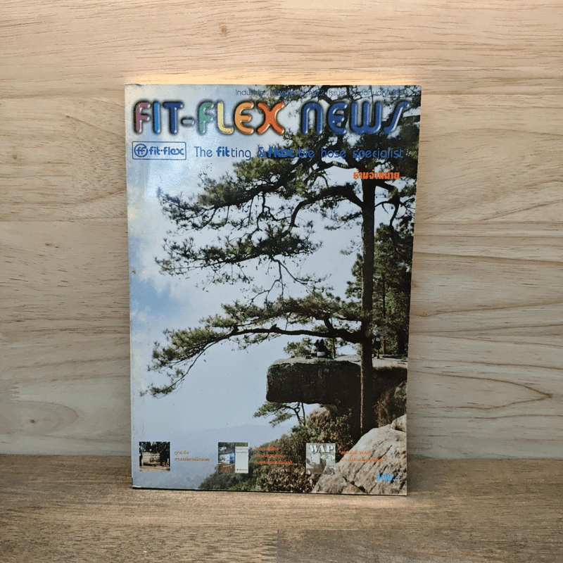 Fit-Flex News ปีที่ 2 ฉบับที่ 5 ม.ค.2544 รูปที่ 1