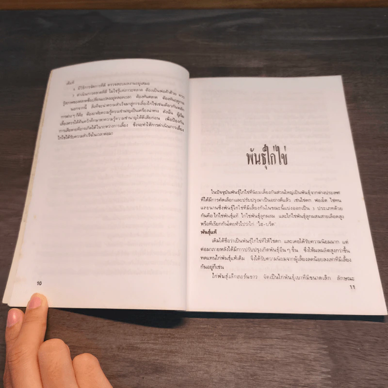 คู่มือไก่ไข่ รูปที่ 10