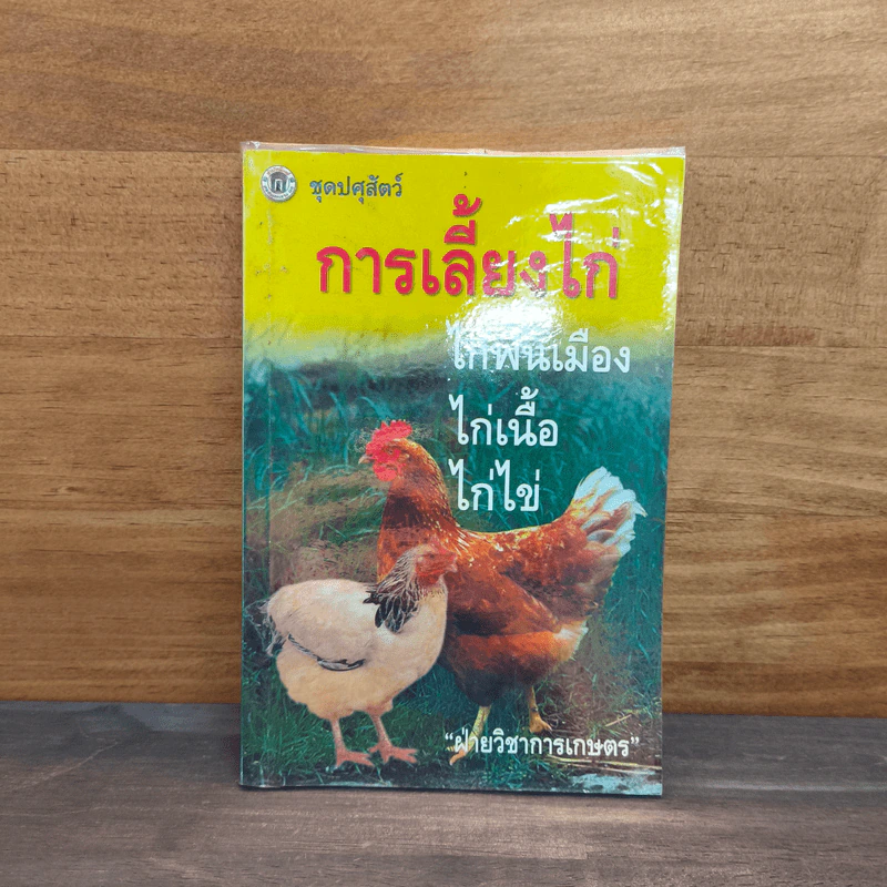 การเลี้ยงไก่พื้นเมือง ไก่เนื้อ ไก่ไข่ รูปที่ 1
