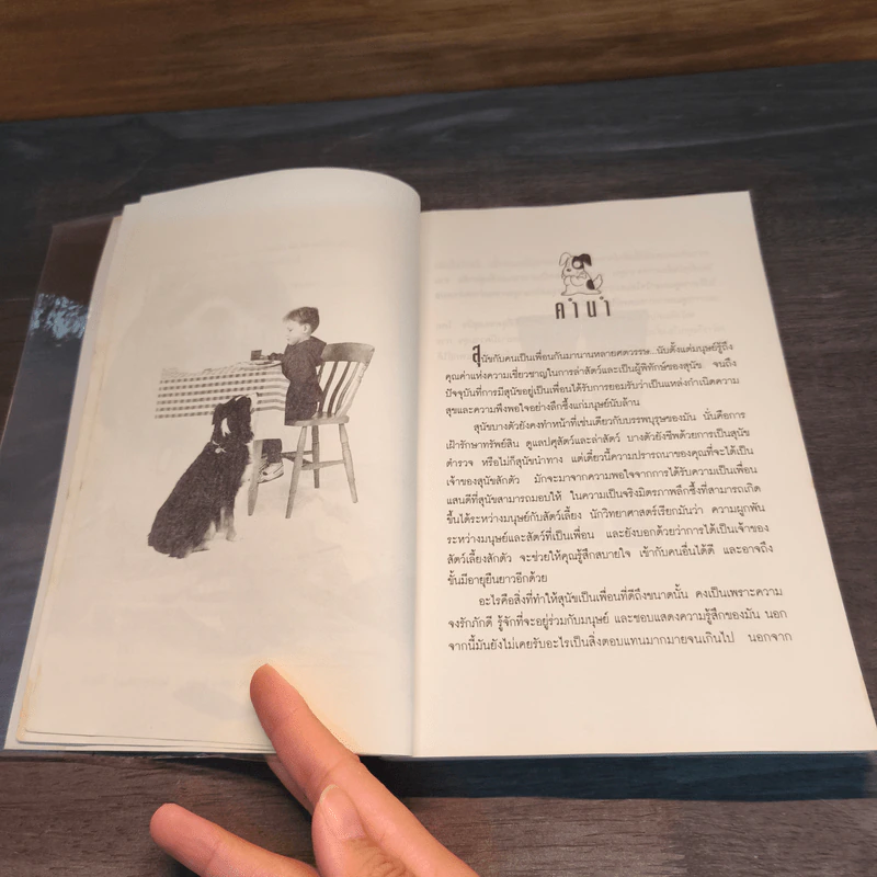 คู่มือการเลี้ยงสุนัข - ธัญนันท์ มันตา รูปที่ 7