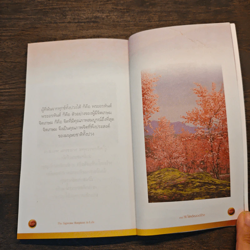 38 วิธี โชคดีตลอดชีวิต The Supreme Auspices in Life - ว.วชิรเมธี รูปที่ 10