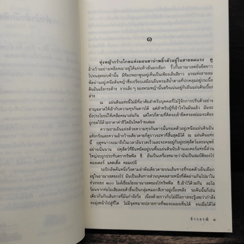 จ้าวธรณี - เจเนต เดลีย์, บุญญรัตน์ รูปที่ 7