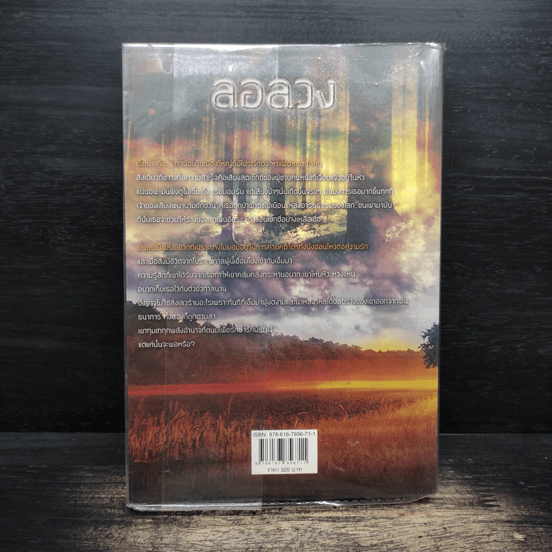 ล่อลวง Accidentally in Love - Mimi Jean Pamfiloff รูปที่ 2
